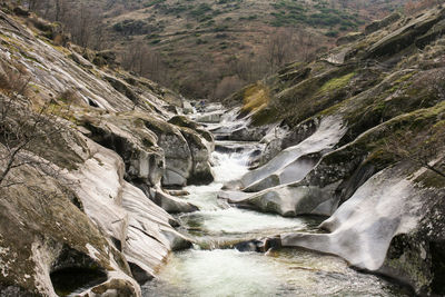 Stream flowing through rocks in forest