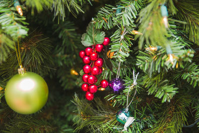 Close-up of christmas tree