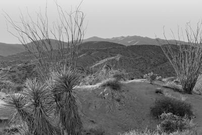 Scenic view of desert against clear sky