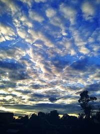 Silhouette trees against sky during sunset