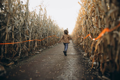 Running boy through the corn maze