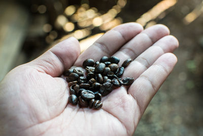 Close-up of hand holding food