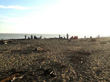 People on beach against sky