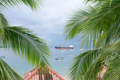 Boats sailing on sea in front of trees against sky