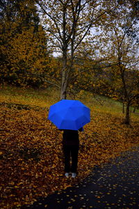 Rear view of woman standing with umbrella during autumn in forest