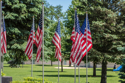 American flags on field