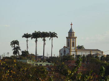 Palm trees and buildings against sky