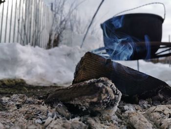 Close-up of logs on snow