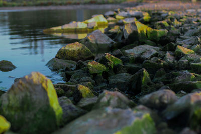 Close-up of rocks in water