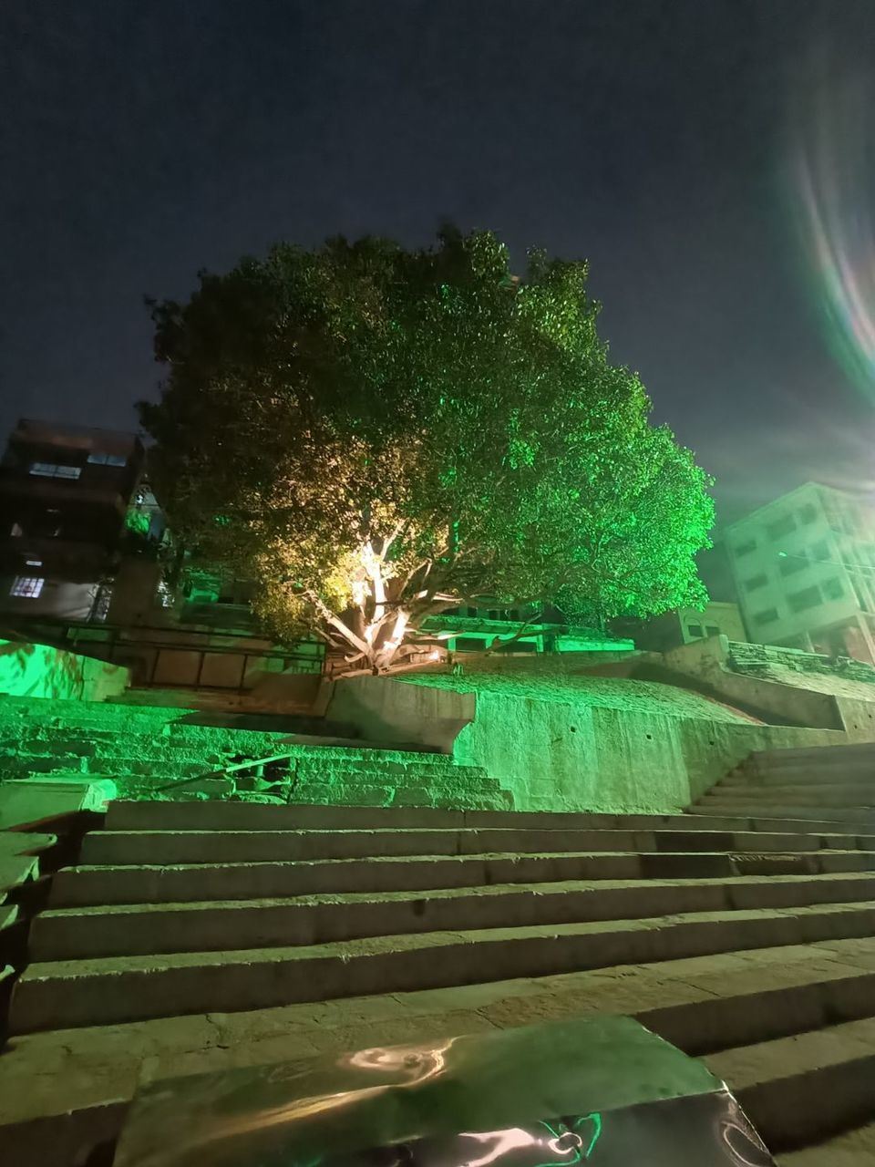 green, light, night, illuminated, tree, architecture, plant, screenshot, nature, built structure, no people, darkness, outdoors, building exterior, sky, city, reflection