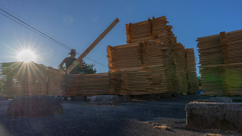 Man and wood