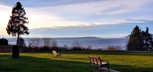 Two benches