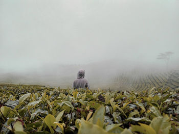 Rear view of man on field against sky