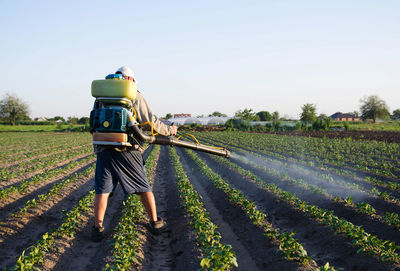 Farmer with a sprayer spray plantation plants. protection of cultivated plants from insects 