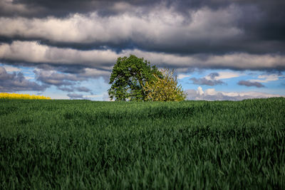 cloud