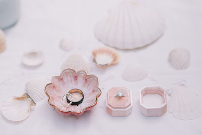 High angle view of shells on table