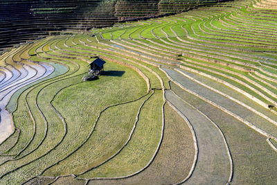 Terrace field in vietnam