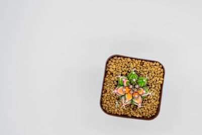 Directly above shot of breakfast served on white background