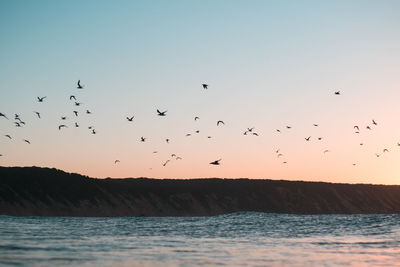 Flock of birds flying over the water and a sunset fading behind mountain