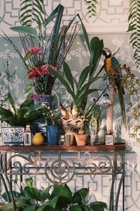 Potted plants on table at home