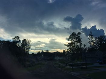 Silhouette trees on landscape