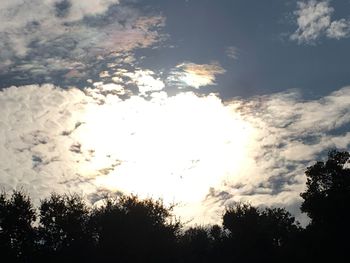 Low angle view of silhouette trees against sky during sunset