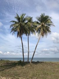 Palm trees on beach against sky
