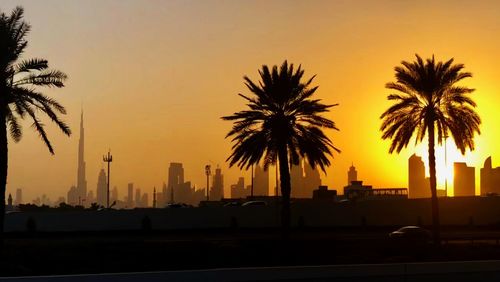 Silhouette palm trees against sky during sunset