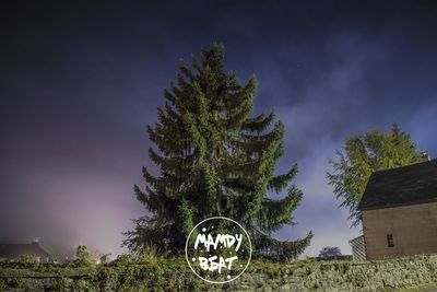 Low angle view of trees against sky at night