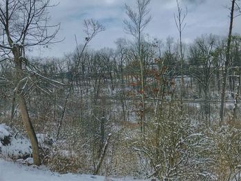 Snow covered land against sky