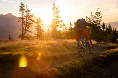 Adult man riding his mountain bike in early morning light on footpath, lens flare, backlight