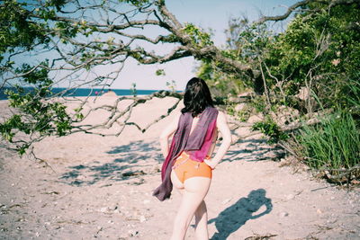 Rear view of woman with umbrella against trees