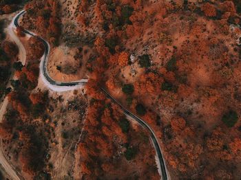 High angle view of car on road