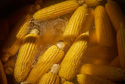 Close-up of corn