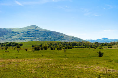 Scenic view of field and mountains against sky