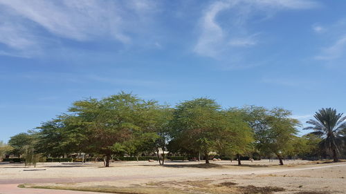 Trees on landscape against blue sky