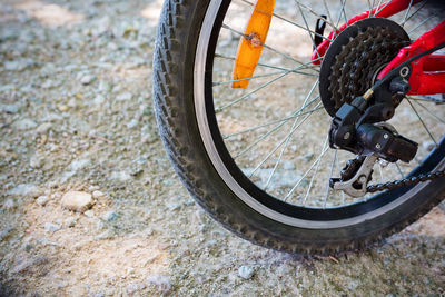 Bicycle wheel close-up in nature. a healthy lifestyle