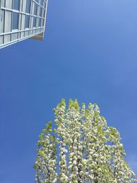Low angle view of built structure against blue sky
