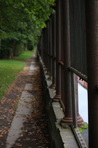 Close-up of leaves in row
