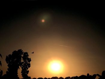 Silhouette of trees at sunset