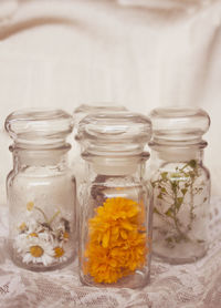 Close-up of white flowers in jar