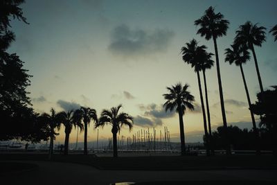 Silhouette palm trees on beach against sky at sunset