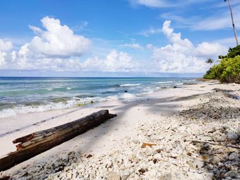 Scenic view of beach against sky