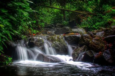 Waterfall in forest