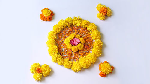 High angle view of orange flower on white background