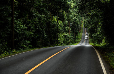 Road amidst trees in forest