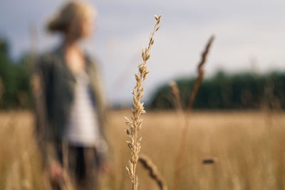 Close-up of crop growing by woman on agricultural field