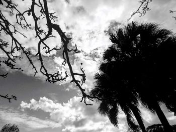 Low angle view of silhouette trees against sky