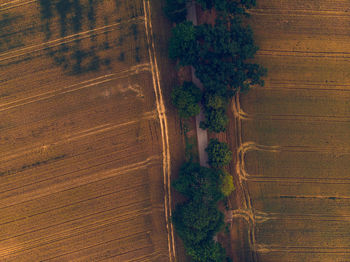 Aerial view of road amidst agricultural field