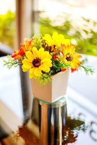 Close-up of yellow flowers against blurred background
